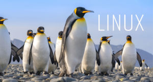 Feuding Developers, Dueling Distros Make Linux Lineage Revival Legendary